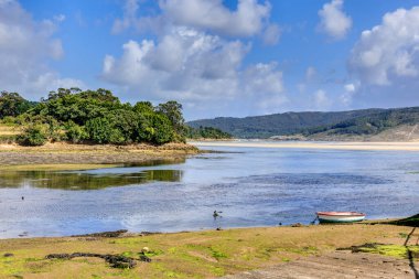 Cabana de Bergantios 'un manzarası, ormanlarla çevrili bir sahil. Galiçya, İspanya