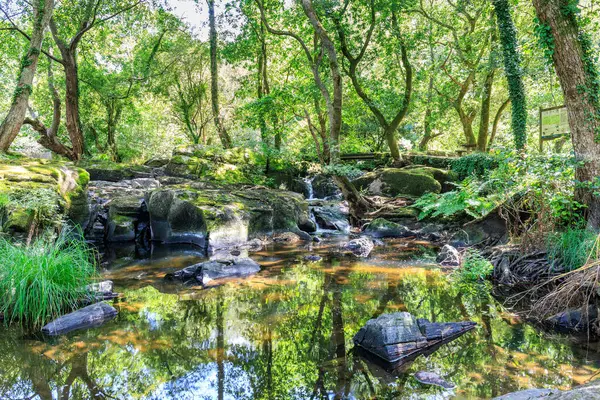 Idyllic doğal ortam, Verdes Refuge, Galiçya, İspanya 'daki Nehir Sihirli peyzaj