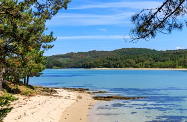 İspanya, Galiçya 'daki Ario plajından dağların ve ormanın manzarası.