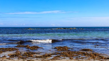 Atlantik Okyanusu 'nun sularındaki kontrastlı renk yoğunluğu. Galiçya, İspanya.