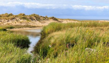 Denize akan akarsular, kum tepeleri ve bitki örtüsü arasında, ufukta bulut örtüsü. Galiçya, İspanya.