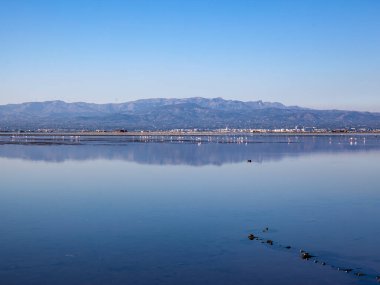 Ebro Delta 'daki Fangar Körfezi' nde sakin bir su. Arka plandaki dağlarda ve l 'Ampolla kasabasında, Katalonya, İspanya.