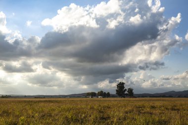 Ebro Delta, Katalonya, İspanya 'daki pirinç tarlaları üzerindeki fırtına bulutları arasındaki güneş ışınları.