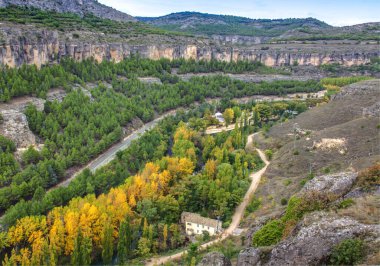 Serrania de Cuenca, İspanya 'nın panoramik manzarası, yeşil ve sarı sonbahar ağaçlarının renklerinin etkileşimiyle.