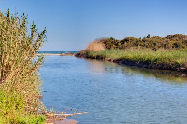 Senia Nehri Akdeniz 'e, bitki örtüsü ile açık gökyüzü arasında ulaşır. Ağzı İspanya 'da Valencia ve Katalonya arasındaki sınırı gösteriyor..