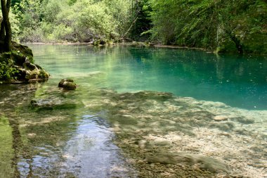 Urederra nehrinde kristal berrak su havuzu. Nehir, kristal berrak suları ve turkuaz mavisi rengiyle karakterize edilen doğal bir ortamdan akar. Bu renk, suda çözünen minerallerden kaynaklanır..