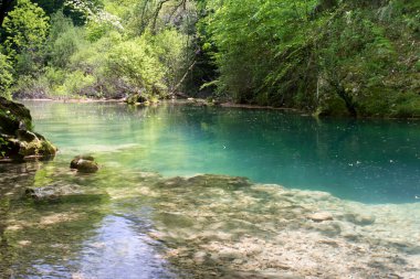 Urederra Nehri 'nde turkuaz şeffaflık.