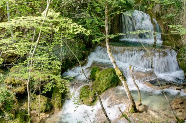İspanya, Huesca 'daki Nacedero del Rio Urederra' nın güzel ve yapraklı şelalesi..
