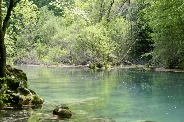 stock image The Urederra River, with its clear waters, is a remarkable example of a well-preserved ecosystem, with a great diversity of flora and fauna. Its surroundings are a place of great interest.