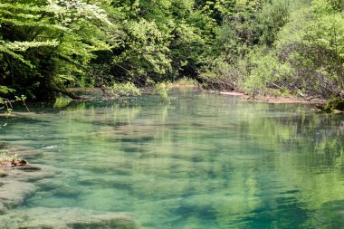 Yeşil bitki örtüsüyle çevrili Urederra Nehri 'nin turkuaz sularında şeffaflık. Navarra, İspanya.