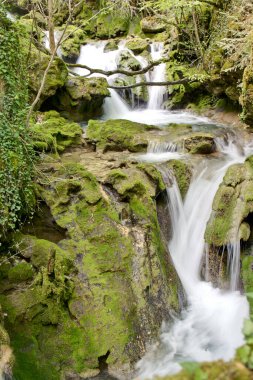 İspanya 'nın Navarra kentindeki Urederra Nehri' nin kaynağında, bitki örtüsü arasında şelaleler oluşturan hızlı su..