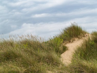 Kum tepesi bulutlu bir gökyüzünün altında, Liencres 'in doğal parkında bitki örtüsüyle kaplıydı. Cantabria, İspanya.