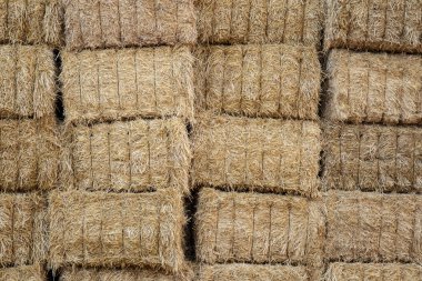 Dikdörtgen saman balyaları ince bir kabloyla istiflenmiş ve bir arada tutulmuş..