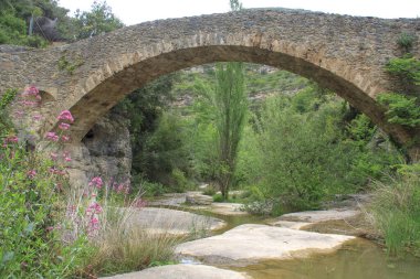 İspanya 'nın Katalonya kentindeki eski Sant Miquel del Fai manastırına erişim sağlayan Romanesque Rossinyol Köprüsü..