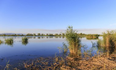 Bassa de les Olles al atardecer. Es la laguna mas pequea del Parque Doğal Delta del Ebro en Catalonia, İspanya