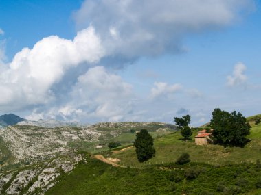 Cantabria dağlarının tepesinde yeşil tarlalar, ağaçlar ve kayalar arasında kırsal bir yol var. İspanya