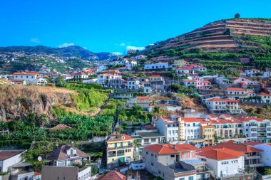 Dağları ve ekinleriyle Madeira 'daki Camara de Lobos balıkçı köyünün panoramik manzarası. Portekiz.