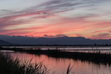 Kırmızımsı günbatımı Ebro Delta 'nın sel basmış pirinç tarlalarında ufukta dağları yansıtıyordu. Katalonya, İspanya.