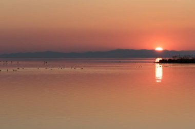 The still waters and soft sunset light create an atmosphere of serenity, where only the birds break the silence as the day gives way to night. clipart