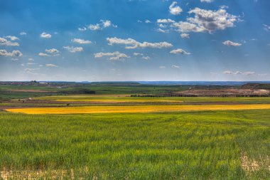 Mavili gökyüzünün altındaki ekin tarlalarındaki farklı tarlaların renklerinin aksine bulutlar ve güneş ışınlarıyla.