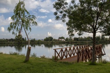 Ebro Nehri 'nin kıyısında bir bakış açısı.
