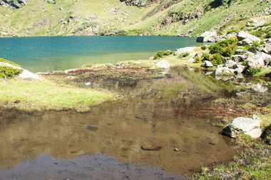 Göl kıyısında renk ve şeffaflık.