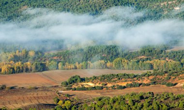 Cuenca, İspanya 'da sonbahar ormanının yanındaki ekin tarlaları sis tabakasıyla kaplıydı..