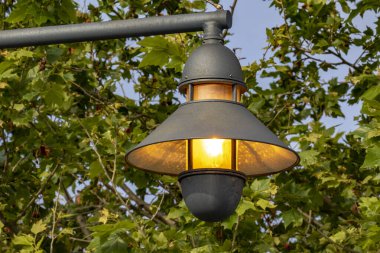 Sokak lambası dışarıda, ışık kirliliği önleyici tasarımla, arka planda ağaçlarla aydınlatılıyor..