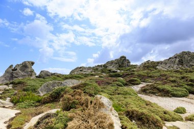 Engebeli kayalar ve alçak bitki örtüsünün parçalı bulutlu mavi gökyüzü ile harmanlandığı yer.. 