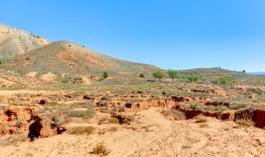 Açık mavi gökyüzü ile yeşil bir bitki örtüsü ile kırmızımsı toprak manzarası