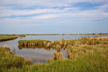 Ebro Delta Doğal Parkı, Katalonya, İspanya 'daki göllerden birinde gün batımı