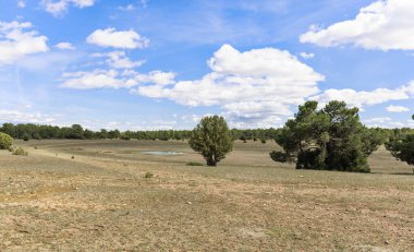  La Laguna del Pinar, yağmur yağmadığı için su birikintisini zar zor görebiliyorsun. Teruel, İspanya.