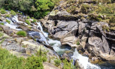 Ormanda hızla akan nehir kayaların arasında küçük şelaleler oluşturuyor.