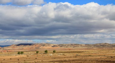 Ufkun ötesine uzanan bir çöl manzarası, gizemli bir hava katan bulutlu bir gökyüzünün altında.