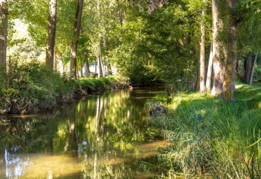 Guadalaviar Nehri sularına yansıyan yeşil ormanlarla çevrili.