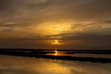 A serene landscape in the Ebro Delta, where nature maintains calm and the waters are tranquil, reflecting the majesty of the sunset sky. clipart