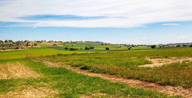 Mavi gökyüzünün altında bulutlu yeşil çayırlar olan kırsal alan manzarası.