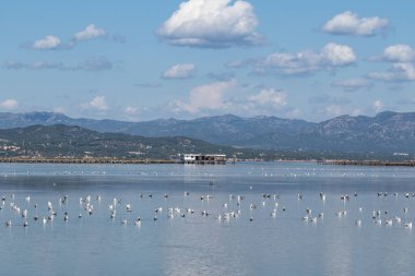 Tranquility in the Bay with touches of clouds over the mountains in the Ebro Delta, Catalonia, Spain clipart