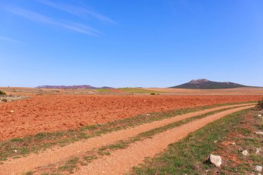 Kırmızımsı toprak yol boyunca uzanan tarlalar, ufukta tepe, derin mavi gökyüzünün altında.