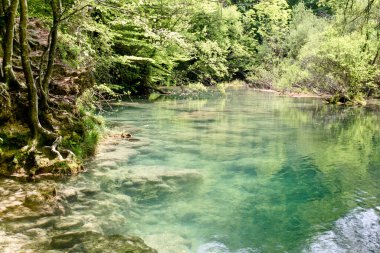 İspanya 'nın Navarra kentindeki Urbasa-Anda Doğal Parkı' ndaki Urederra kaynak yolunun büyüleyici bir köşesi.