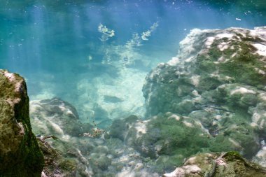 Navarra 'daki Urederra Nehri' nin kayalık dibindeki berrak sular..