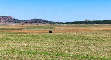 Açık gökyüzü ile güneşli bir günde zıt renklerin alanları