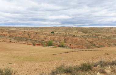 Sıcak ve kurak iklimden dolayı kızıl çöl arazileri