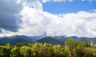 Bulutlarla kaplı dağların önündeki güneşli sonbahar ağaçları.