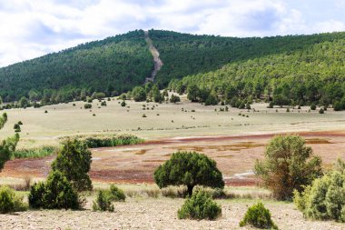 Kuru lagünün ve vadinin kahverengilerinin aksine dağlar yeşil çam ağaçlarıyla kaplıydı..