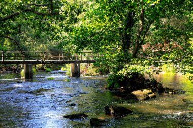 Ormandaki yapraklı ağaçların arasından süzülen ışık ışınları köprünün altındaki nehrin sularını aydınlatıyor.