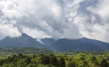 Yeşil orman dumanlı bulutlarla kaplı karanlık dağlarla tezat oluşturarak hafifçe aydınlandı.
