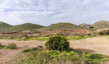 Calblanque Bölge Parkı 'nın manzarası gri fırtına bulutlarının altındaki tepeleri ve yerli bitkileri gösteriyor.