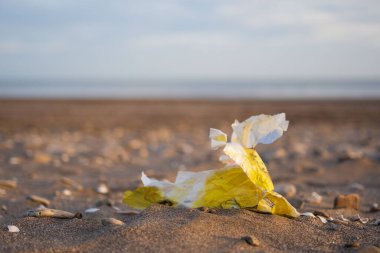 Plastik torba bir deniz kumsalında gömülü..