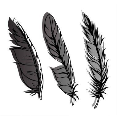  Farklı şekillerde tüyler. Vektör illüstrasyonu